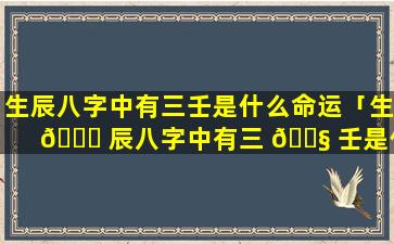 生辰八字中有三壬是什么命运「生 🍁 辰八字中有三 🐧 壬是什么命格」